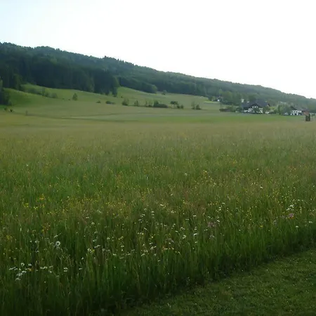 Anna Hotell 3*